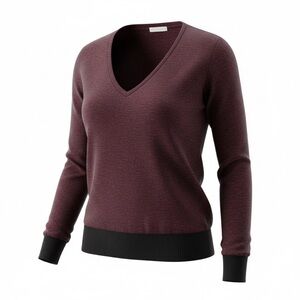 Rag & Bone Marled V-neck Burgundy sweater